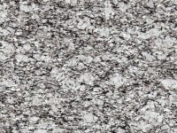 Padang TG99 Monte Bianco